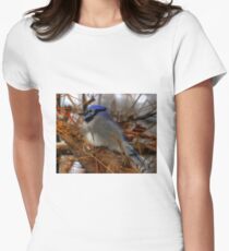 Blue Jay at Rest Women's Fitted T-Shirt