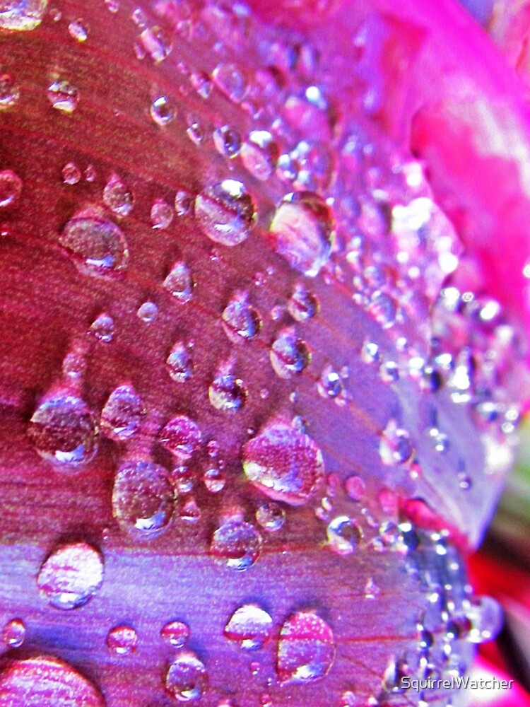 Thumbnail 4 of 4, iPhone Case, Dewdrops designed and sold by SquirrelWatcher.