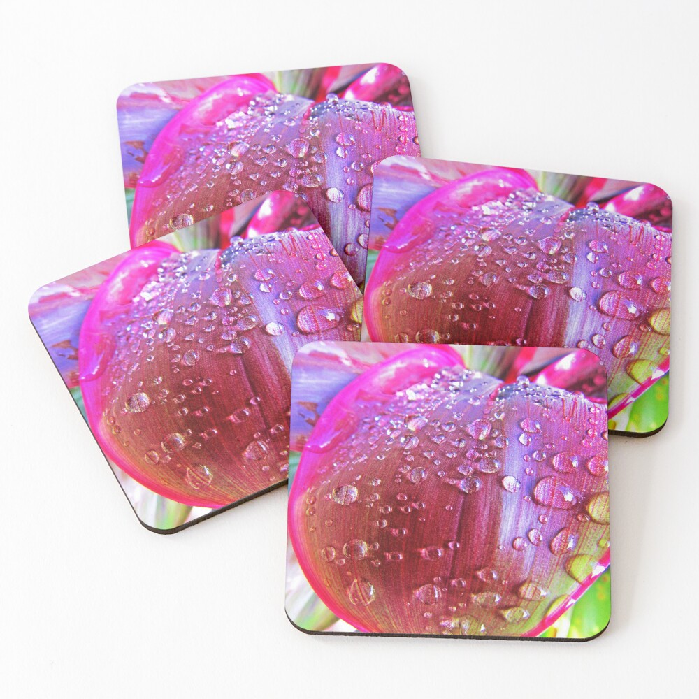 Item preview, Coasters (Set of 4) designed and sold by SquirrelWatcher.