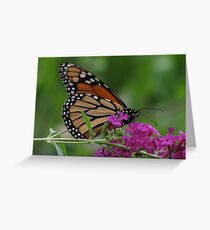 Monarch Greeting Card