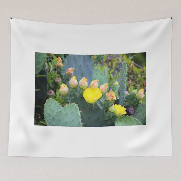 Item preview, Flowering Cactus designed and sold by Cynthia48.