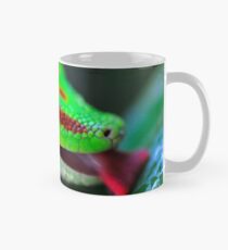 Tagesgecko, der Wassertröpfchen leckt Tasse (Standard)