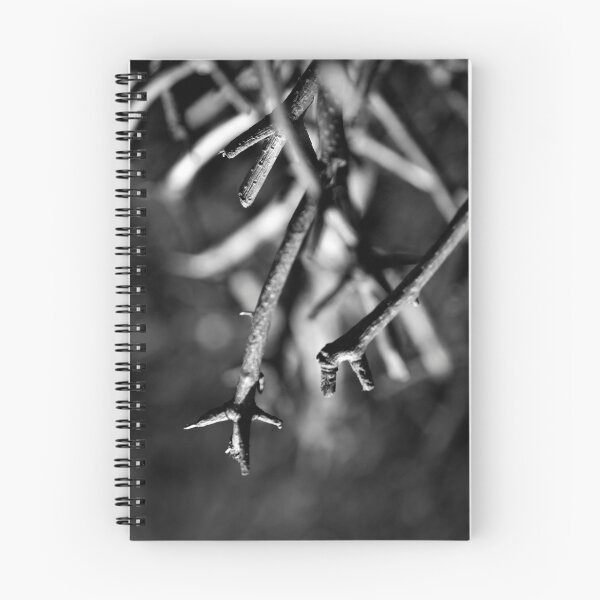 Item preview, Messed designed and sold by Elisabeth Lulov.