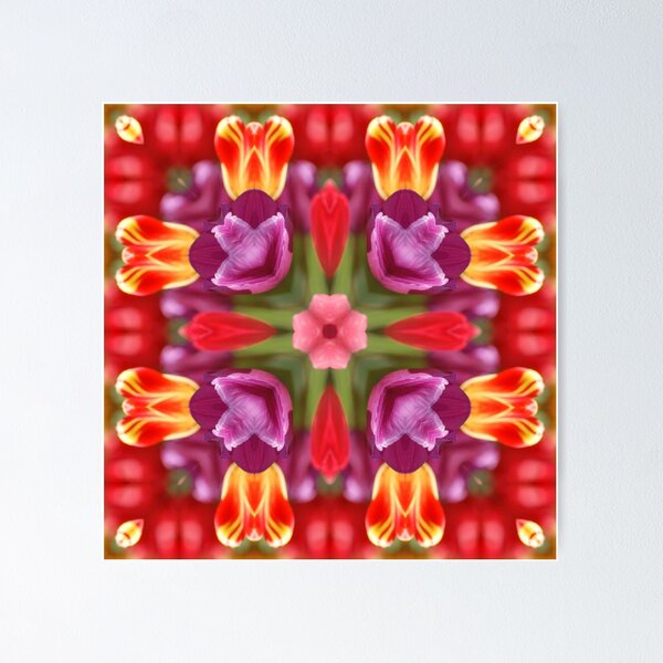 Colorful Tulips Kaleidoscope Poster