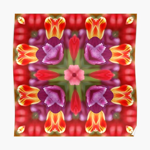 Colorful Tulips Kaleidoscope Poster