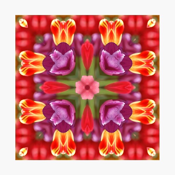 Colorful Tulips Kaleidoscope Photographic Print