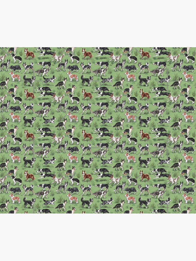 The Border Collie by elspethrose