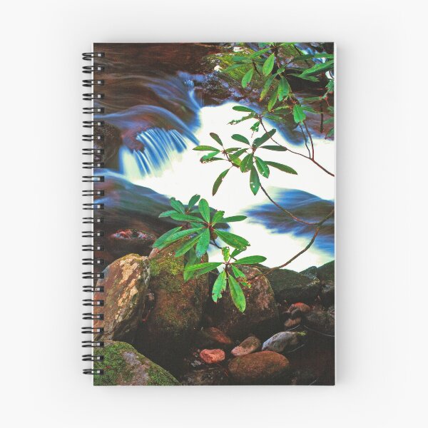 Item preview, ROARING FORK designed and sold by Chuck Wickham.