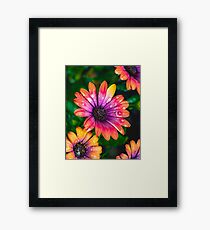 Ohne Titel Gerahmtes Wandbild
