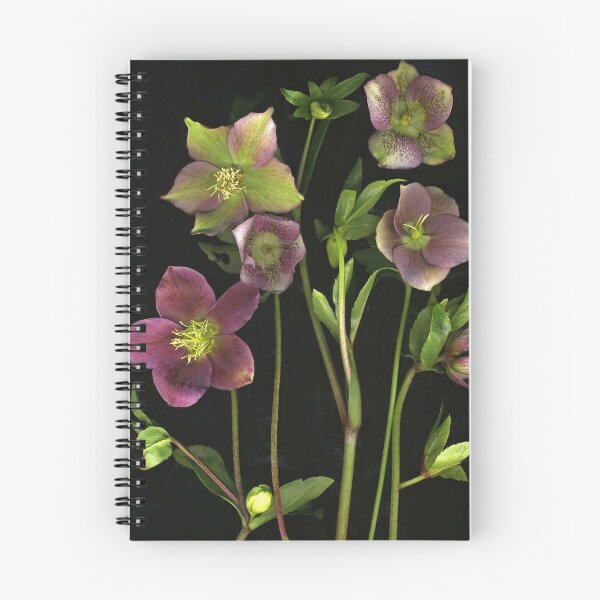 Item preview, Hellebore by the Bunch designed and sold by Barbara E Wyeth.