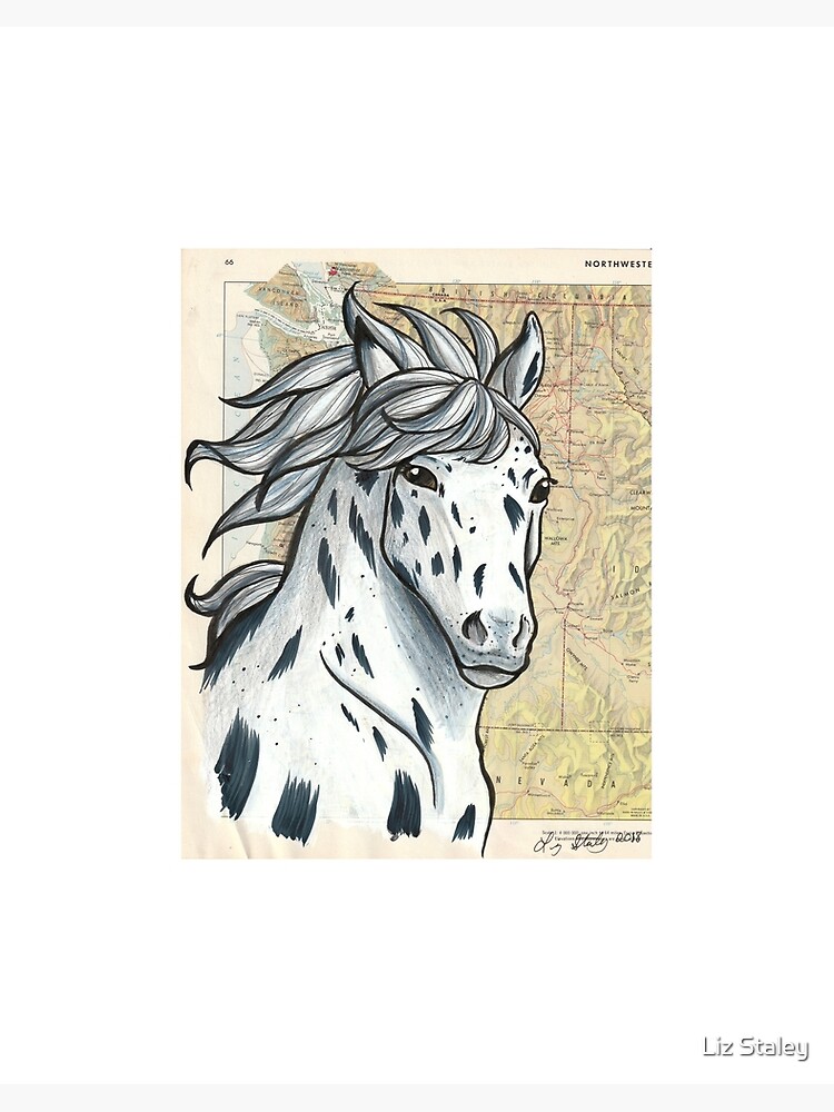 Appaloosa Horse Rearing | Art Board Print