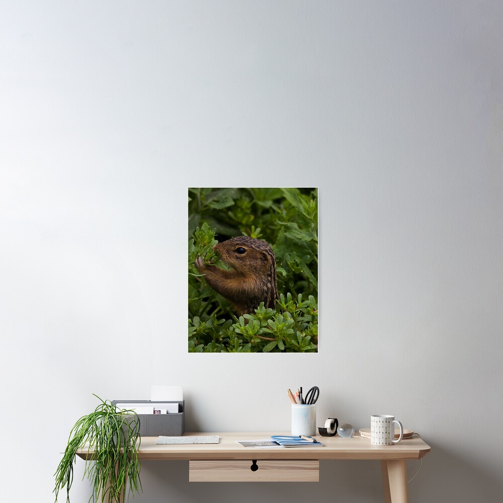 Item preview, Poster designed and sold by BCogs.