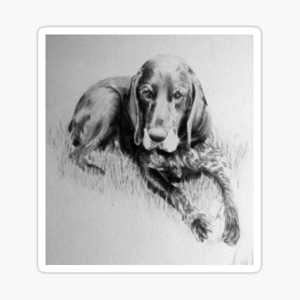 Dog in charcoal by Avril Thomas Sticker