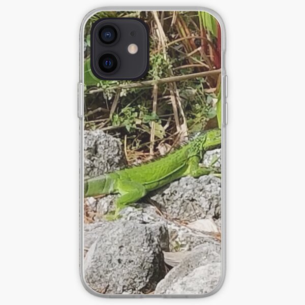 Iguana on rocks iPhone Soft Case