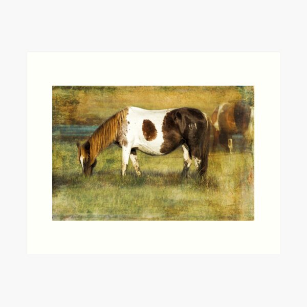 Item preview, Pony with Copper Mane - Chincoteague Pony designed and sold by Belinda Greb Photography.
