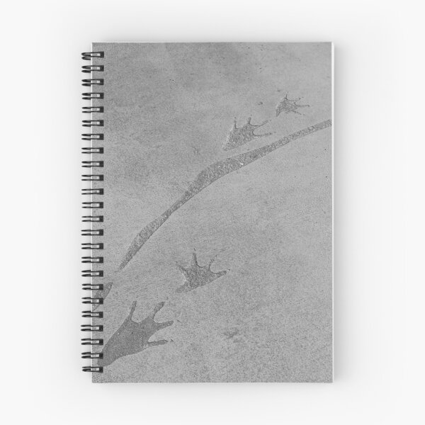 Item preview, Alligator footprints designed and sold by VikaL.
