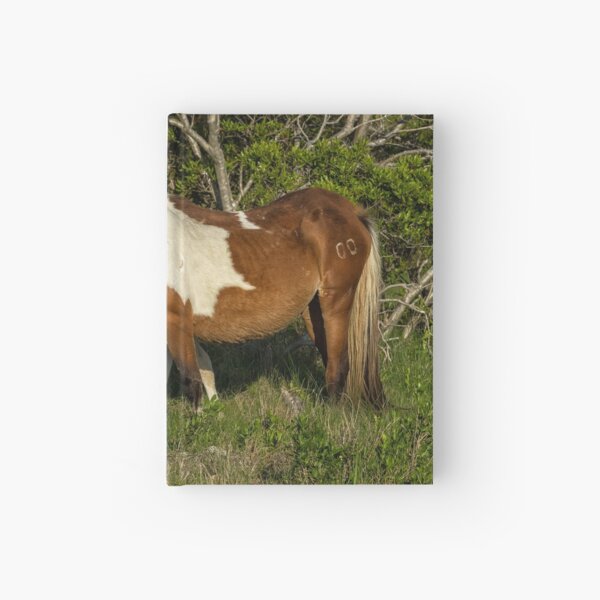 Item preview, Chincoteague Foal No. 1 by Mom designed and sold by Belinda Greb Photography.