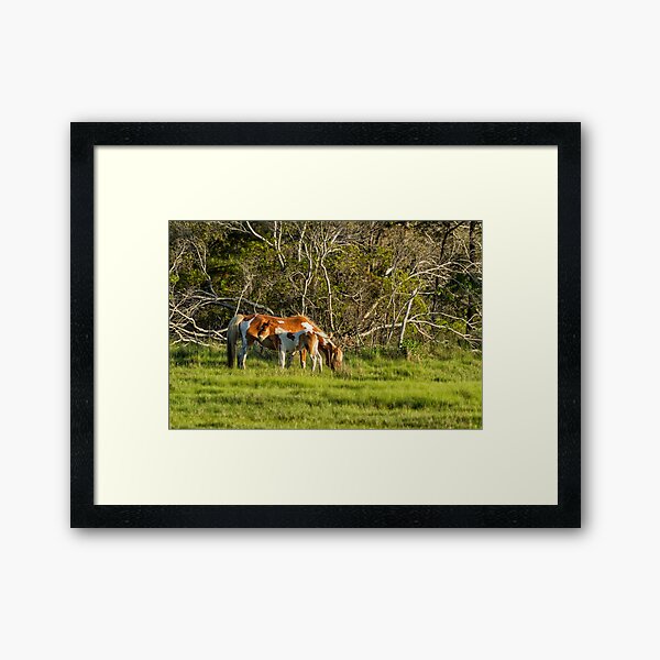 Item preview, Pinto Chincoteague Foal No. 3 with Mother designed and sold by Belinda Greb Photography.