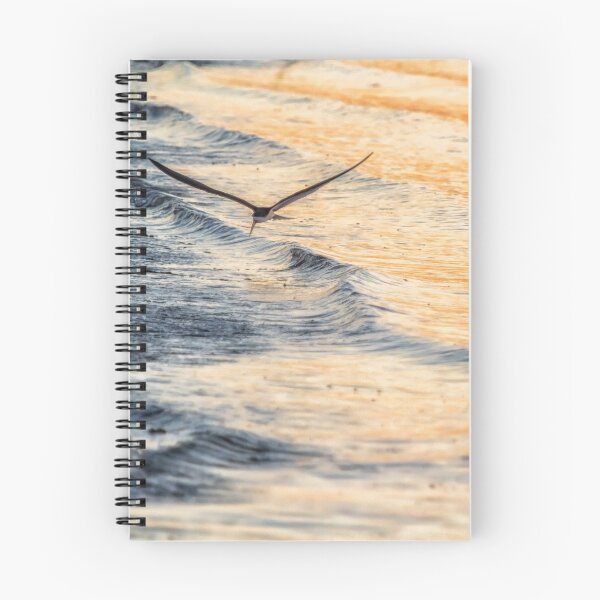 Item preview, Black Skimmer Skimming designed and sold by Belinda Greb Photography.