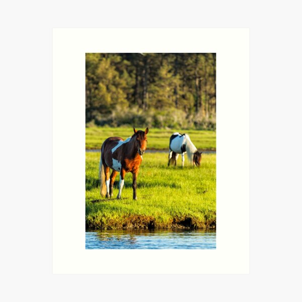 Item preview, Leaving the Chincoteague Ponies designed and sold by Belinda Greb Photography.