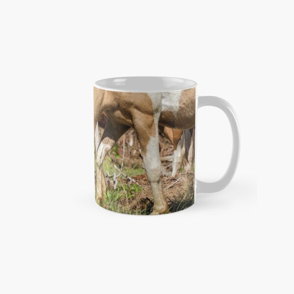 Item preview, Three Amigos designed and sold by Belinda Greb Photography.