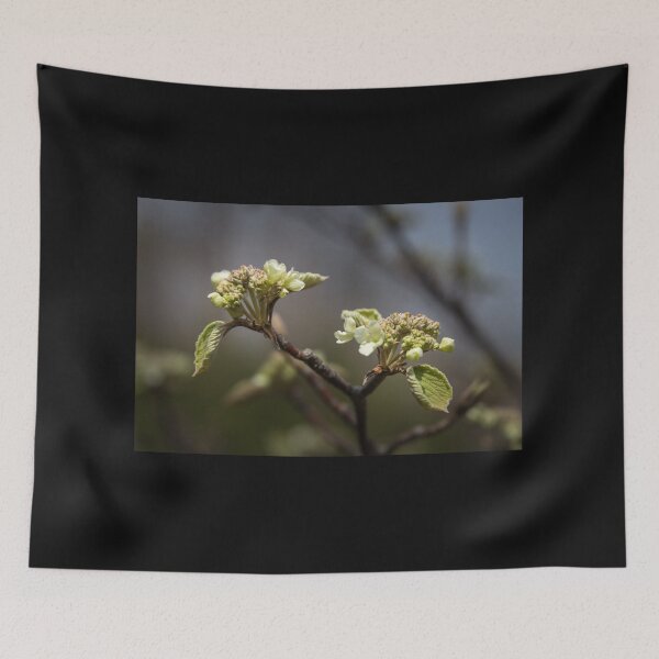 Item preview, Spring Buds in Quebec designed and sold by Jola Martysz.