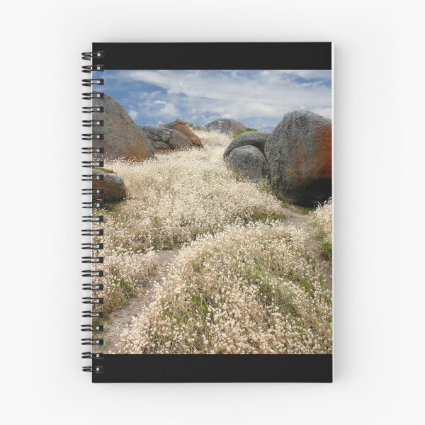 Artikelvorschau, Grass tails among the granite entworfen und verkauft von jwwallace.