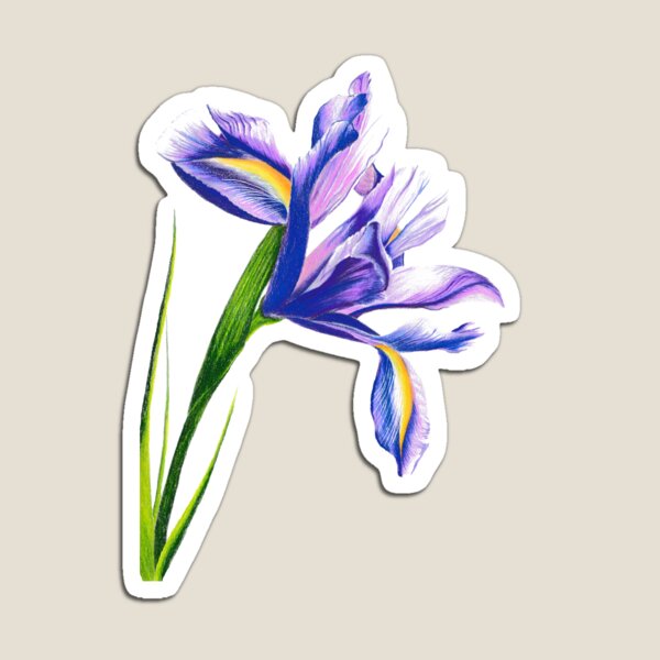 Iris Magnet