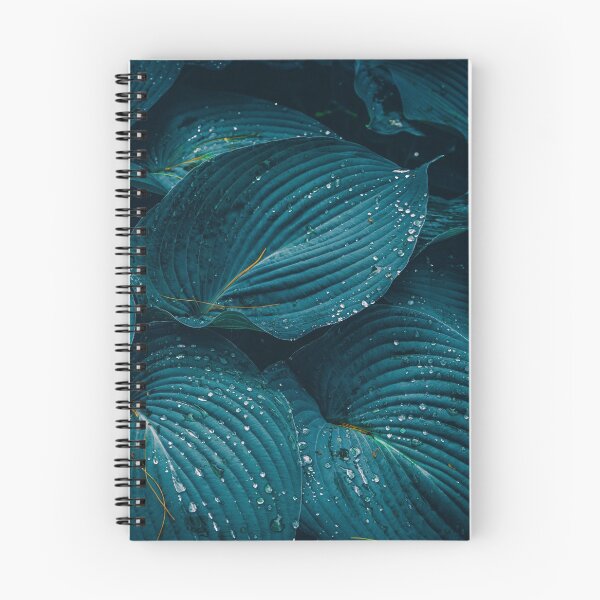 Aperçu de l'œuvre Feuilles du matin créée et vendue par Douglas M. Paine.