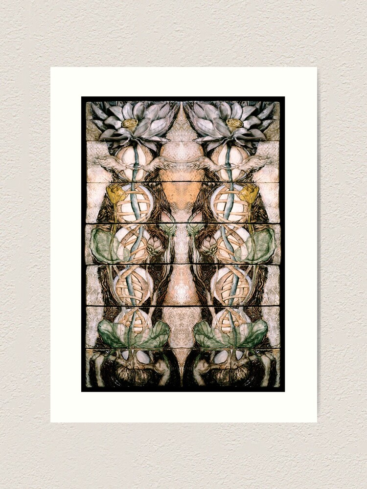 Alternate view of Double Helix Lotusing Art Print