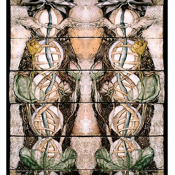 Artwork thumbnail, Double Helix Lotusing by mona shiber