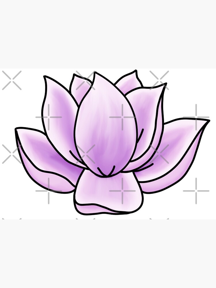 Lotus Flower Drawing Poster By Jsprechman Redbubble 1674