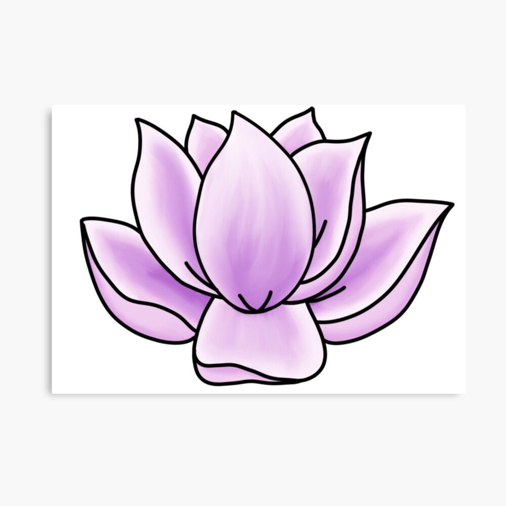 Illustration about Lotus Flower sketch hand-drawn close-up detalization for  your design. Illustration of de… | Flower sketches, Lotus flower drawing, Flower  drawing