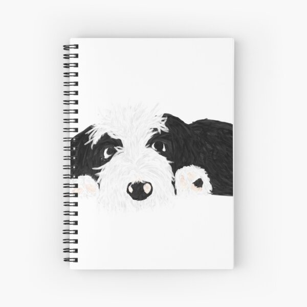 juego bañar perros