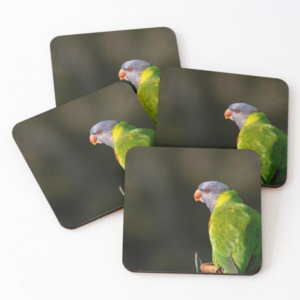 Item preview, Rainbow Lorikeet designed and sold by SusanAdey.