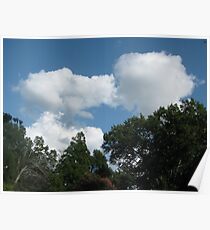 Snoopy & Charlie Poster