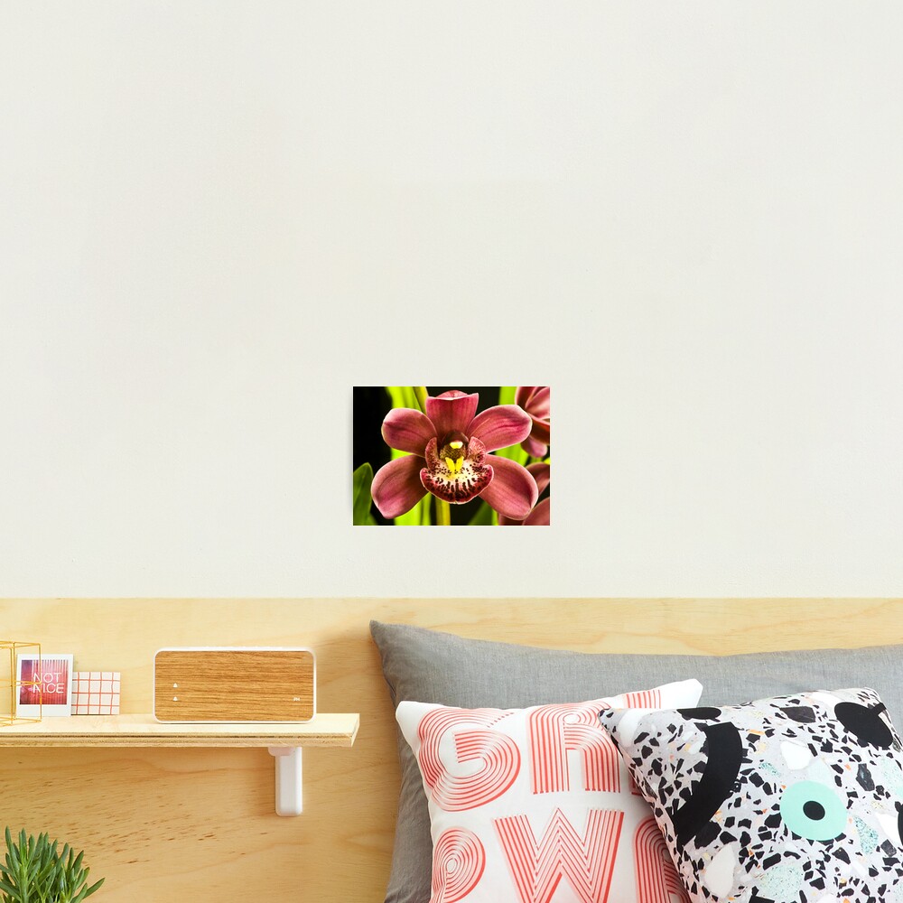 Item preview, Photographic Print designed and sold by DavidLPiko.