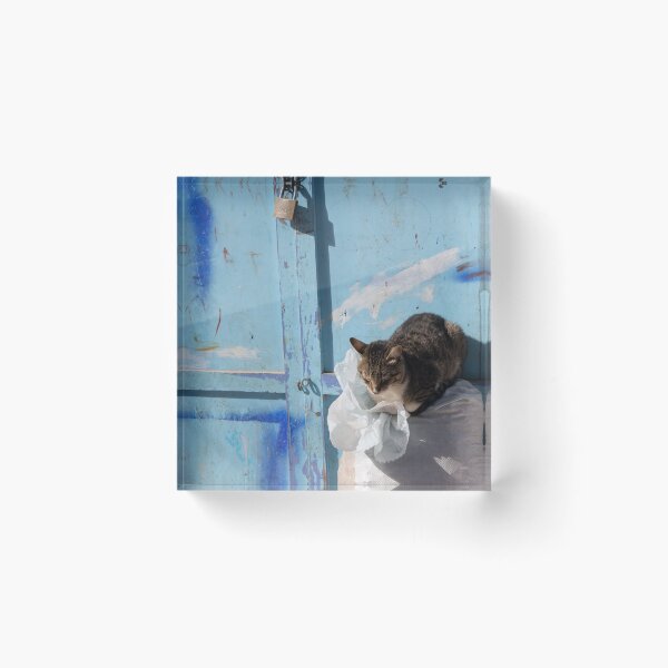 Item preview, Cat on a Bag designed and sold by Marylou Badeaux.