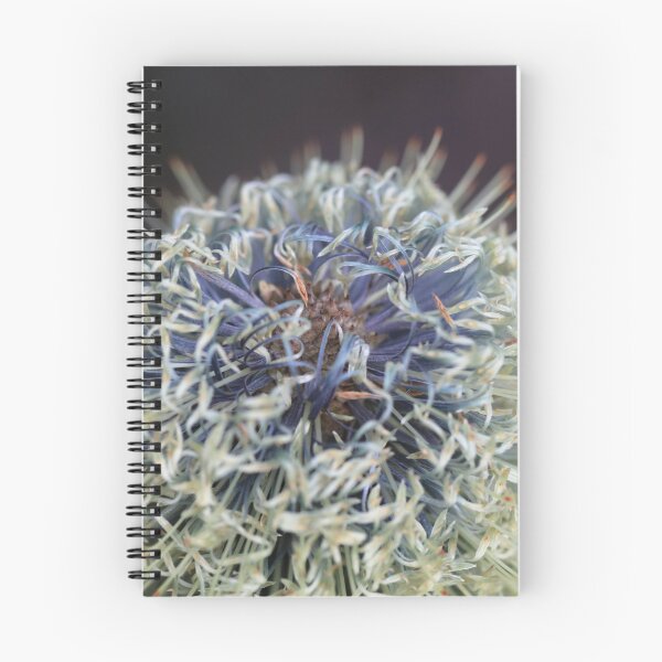 Item preview, Banksia oblongifolia  designed and sold by ausnative.