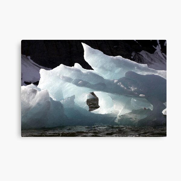 Icebergs Ahead Canvas Print