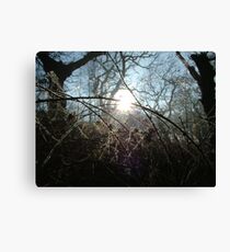 Icy Brambles Canvas Print