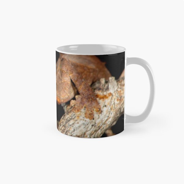 Item preview, Uroplatus ebenaui  designed and sold by Dr Mark D. Scherz.