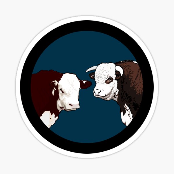 Hereford and Poll Hereford Bulls Sticker