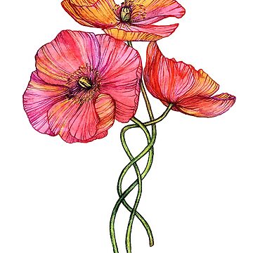 Artwork thumbnail, Peach & Pink Poppy Tangle by micklyn