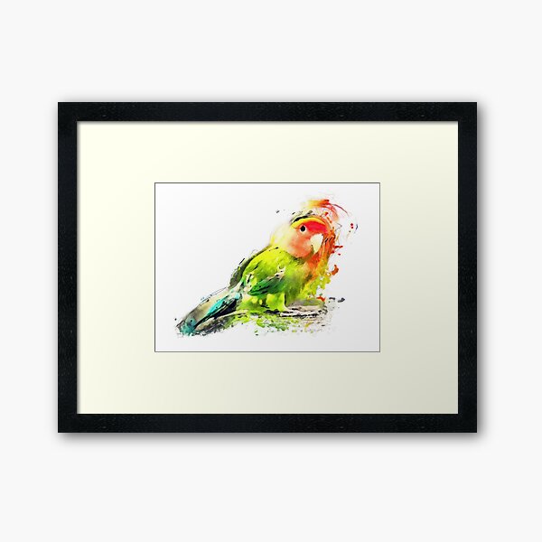 Lovebird Framed Art Print