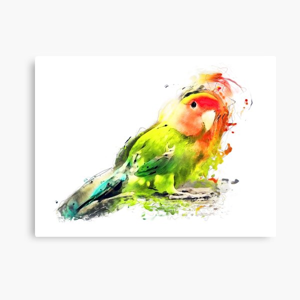 Lovebird Canvas Print
