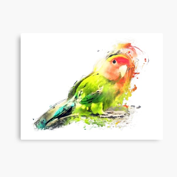 Lovebird Metal Print