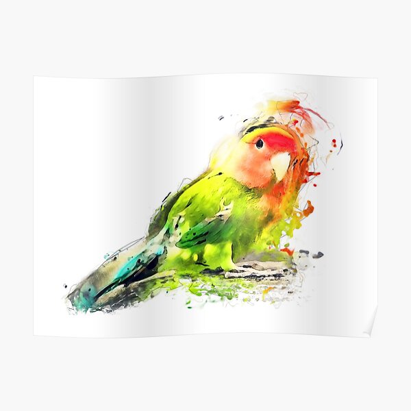 Lovebird Poster
