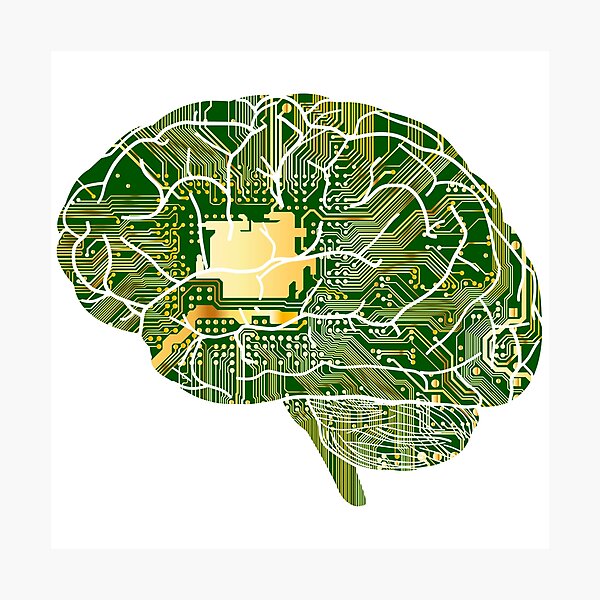 Brain Connected Photographic Print