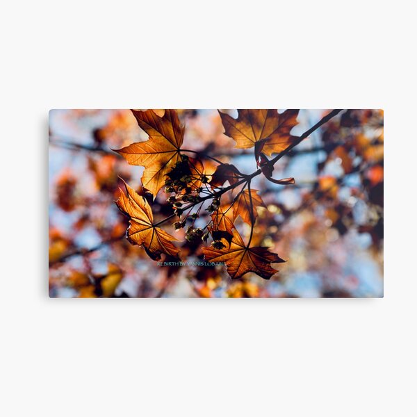 Rebirth Metal Print